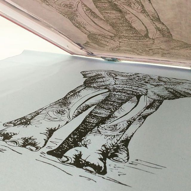 חוג הדפס למבוגרים