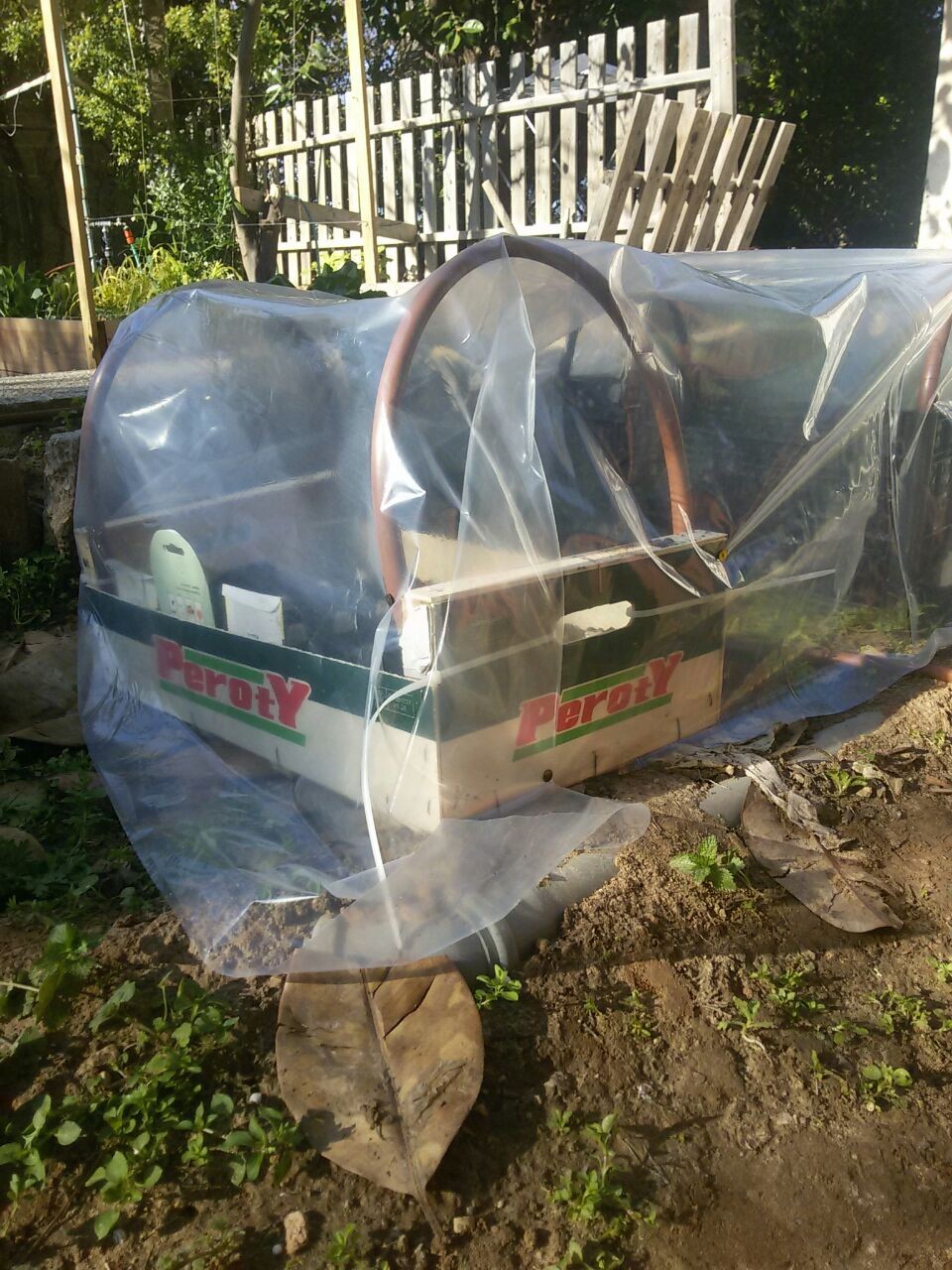 MINI ECO GREENHOUSE